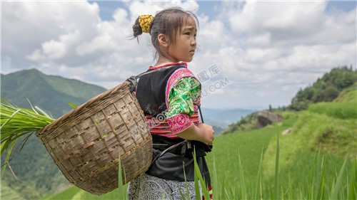 白水洞梯田上的花瑶人家