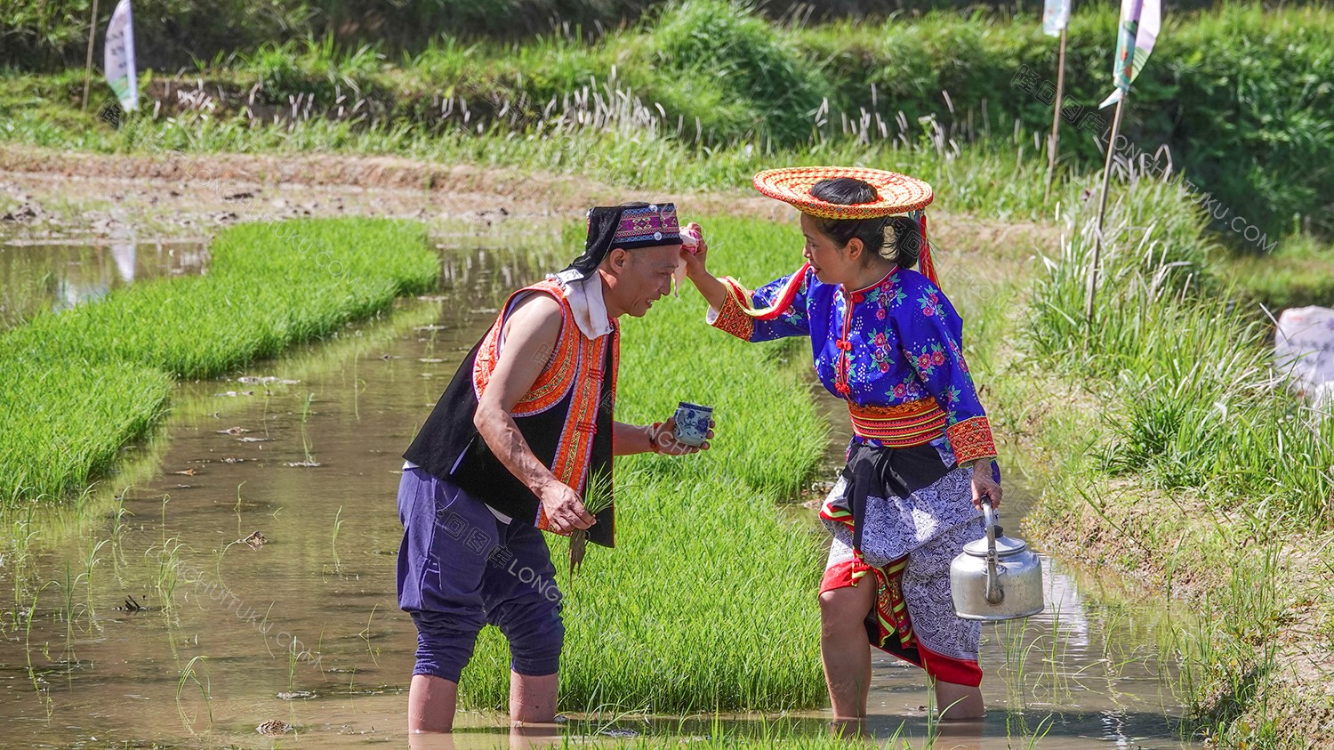 白水洞的插秧节