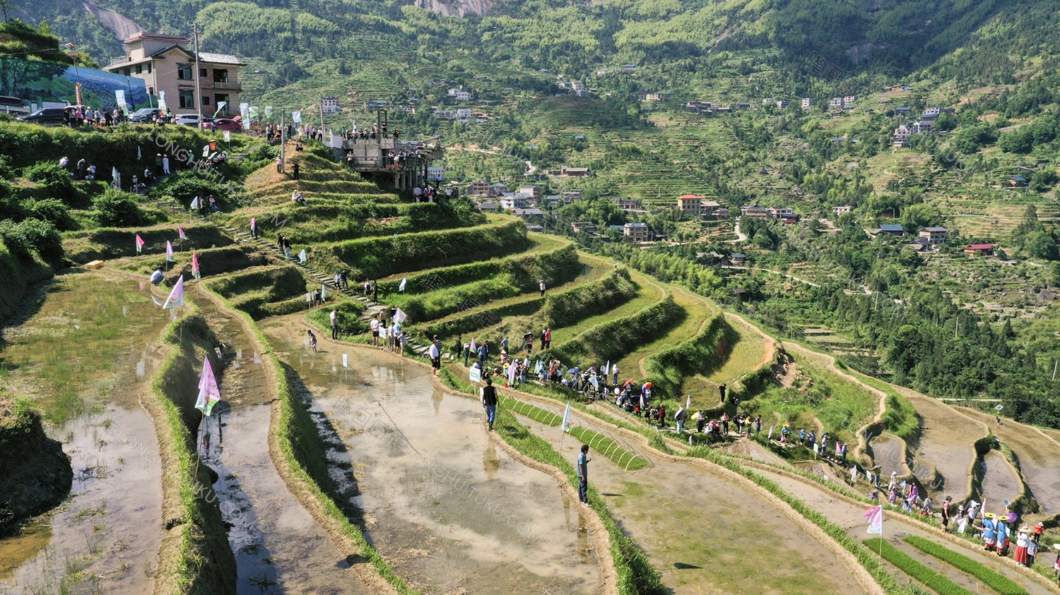 白水洞的插秧节