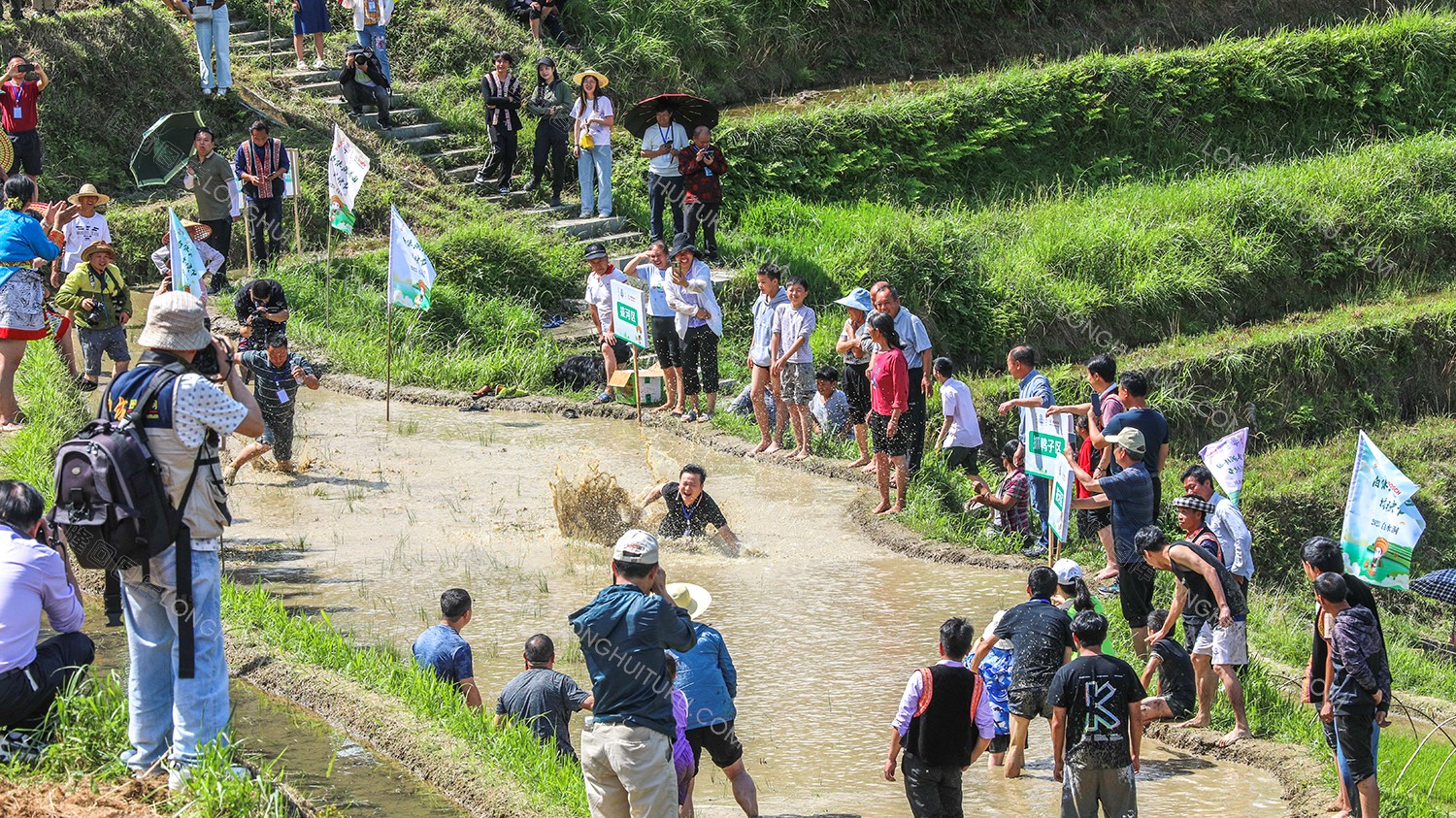 白水洞的插秧节