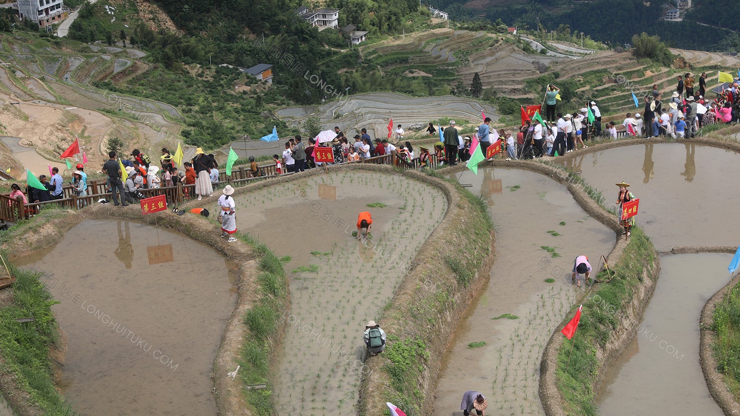 白水洞的插秧节