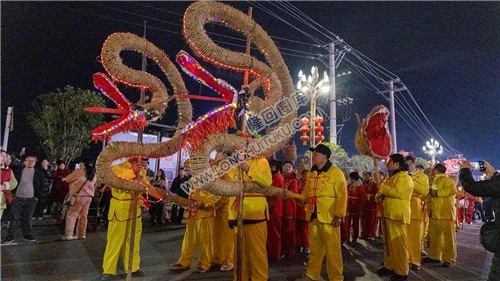 隆回梅山龙狮草龙队伍