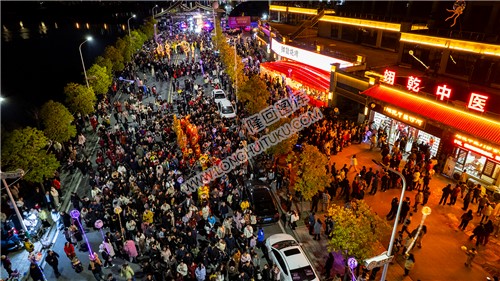 翊乾中医馆前面的游龙队伍