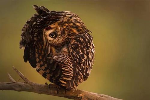 全球摄影大赛优秀作品欣赏