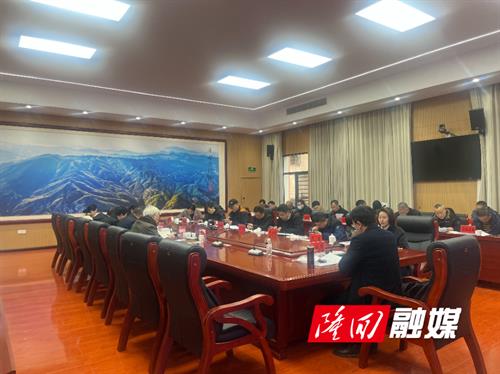 隆回县召开“十五五”文化和旅游发展规划征求意见座谈会